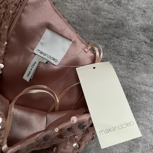 NWT Maxandcleo Gown sz 4 - Picture 3 of 7